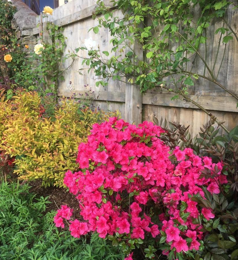 Stoke House Bed And Breakfast 스톡리버 외부 사진